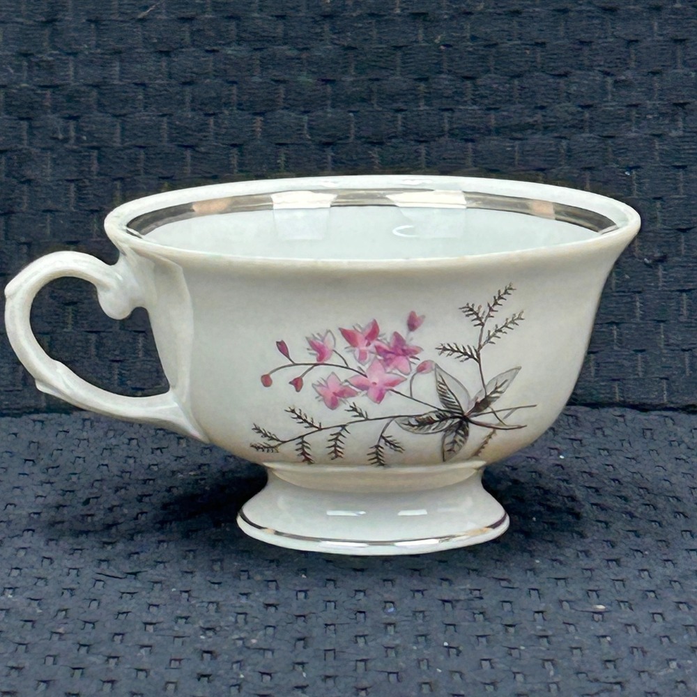 Karolina Poland China‎ Teacup Pink Floral Silver Trim Vintage Porcelain 3879 6